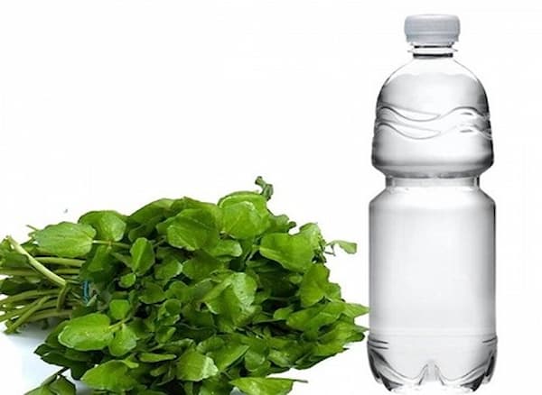تصویر 3 از فروش عرق گزنه اصل + قیمت خرید به صرفه